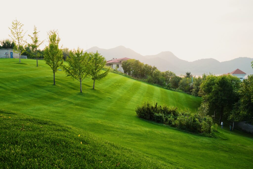 diamondhillsgolf.com