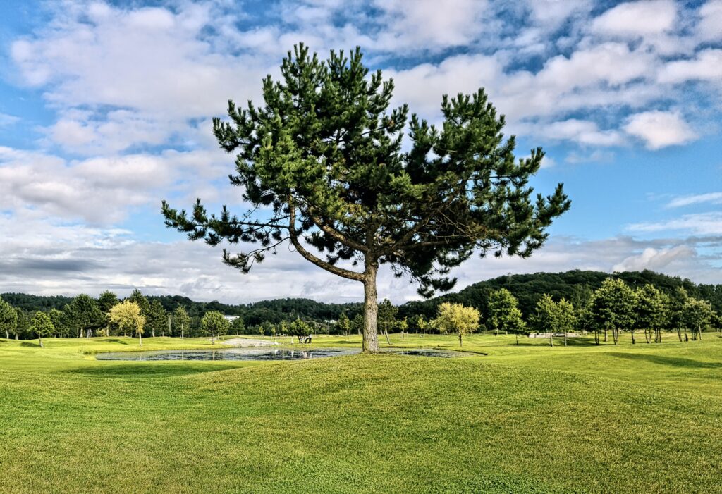 diamondhillsgolf.com